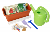 Набор "Я учусь выращивать растения"