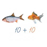 Счетный материал на магнитах "Рыбки"