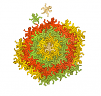 ЯЩЕРКИ УЧАТ МАТЕМАТИКЕ (56 ШТ)